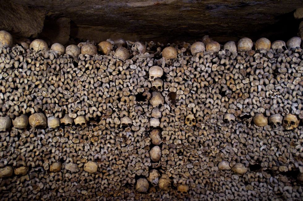 Poetry On Odyssey: Wake Up! Catacomb Boy!