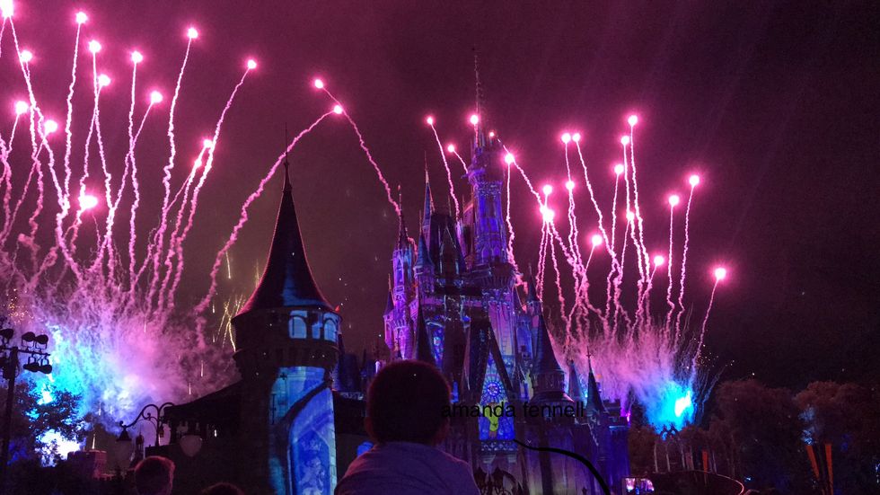 Disney World Really Is "The Most Magical Place On Earth"