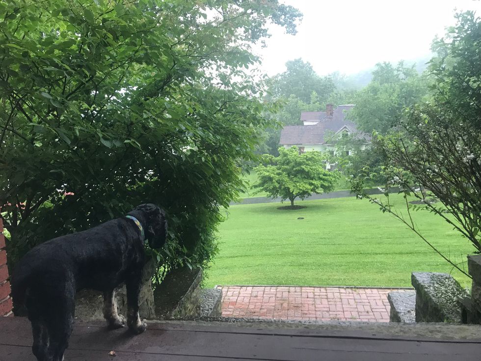 8 Reasons Having Rainy Days In The Summer Is Actually Awesome