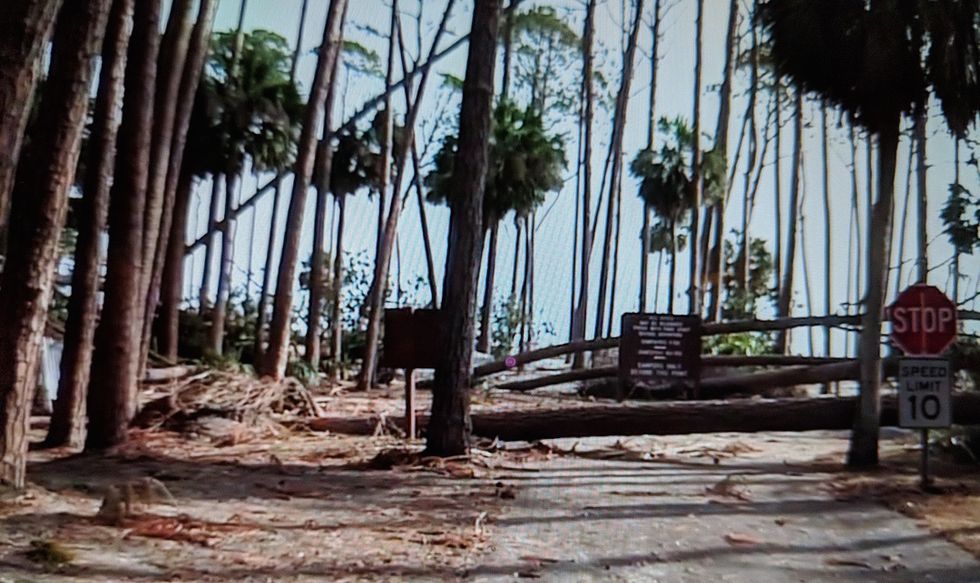 I Know It Is Hurricane Season, And Updates Are Important, But Can You Not Update Me Every Five Minutes?