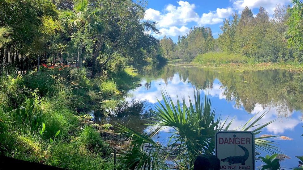 10 Best Date Spots In Saint Petersburg, FL