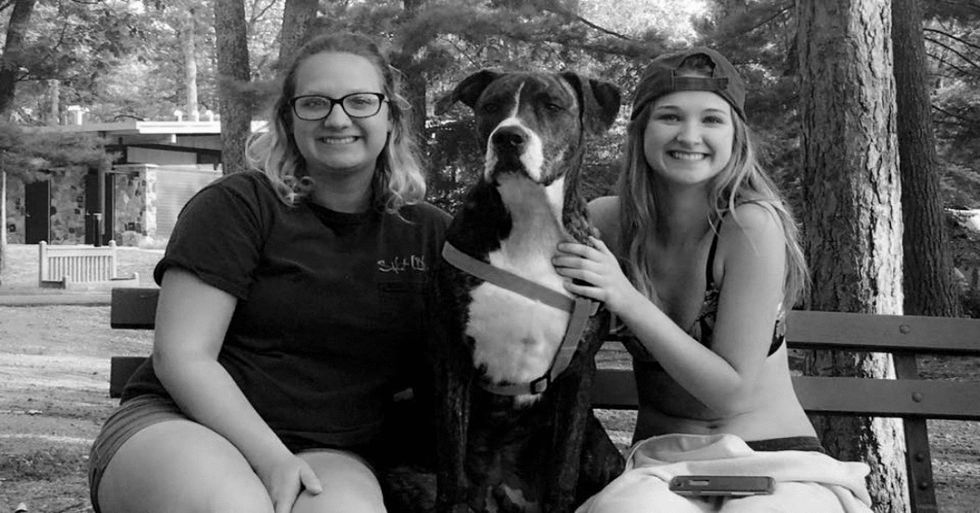 Why My Sister And I Chose To "Adopt And NOT Shop," And Why You Should Too