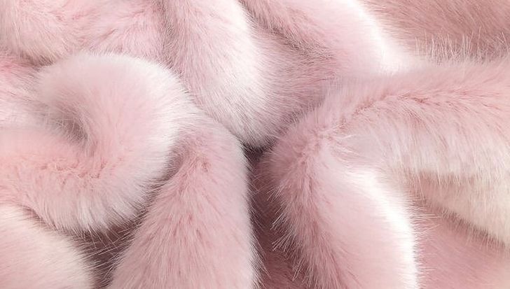 The top 5 Websites for Stylish Girls On A budget