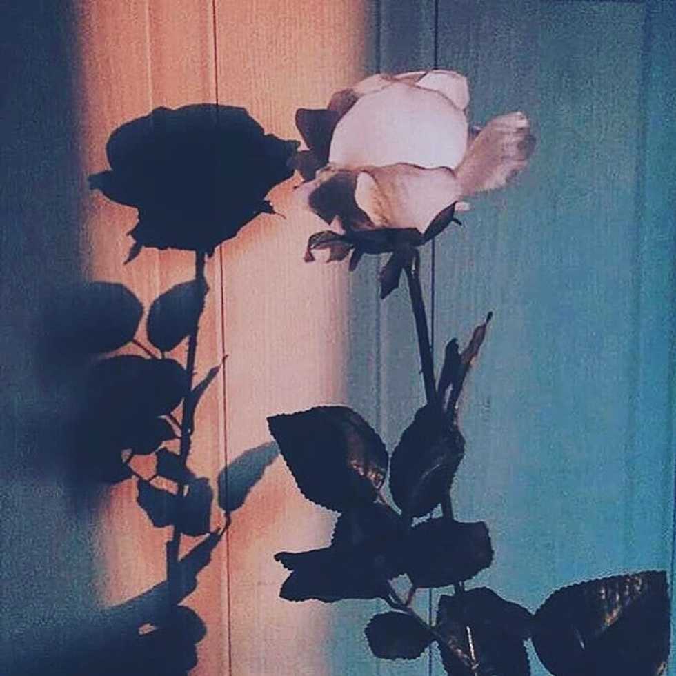 how we can help stop suicide.