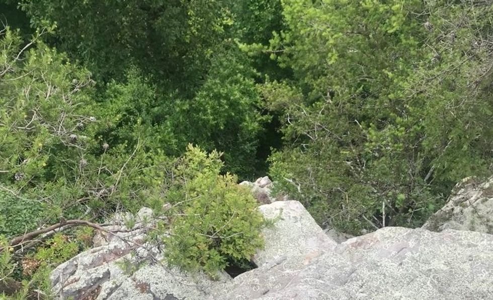 Sometimes you have to just live a little