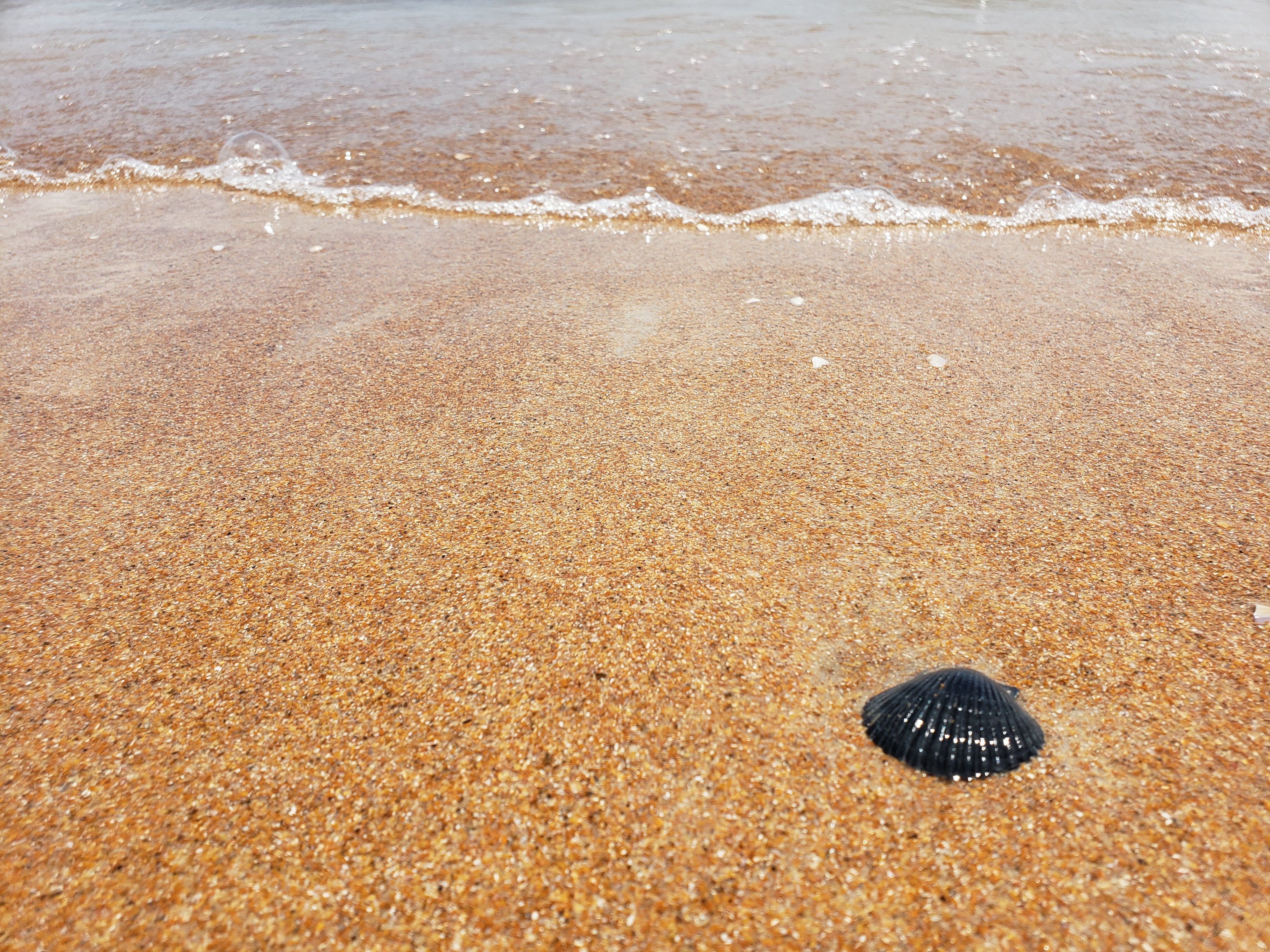 Trust is not about us