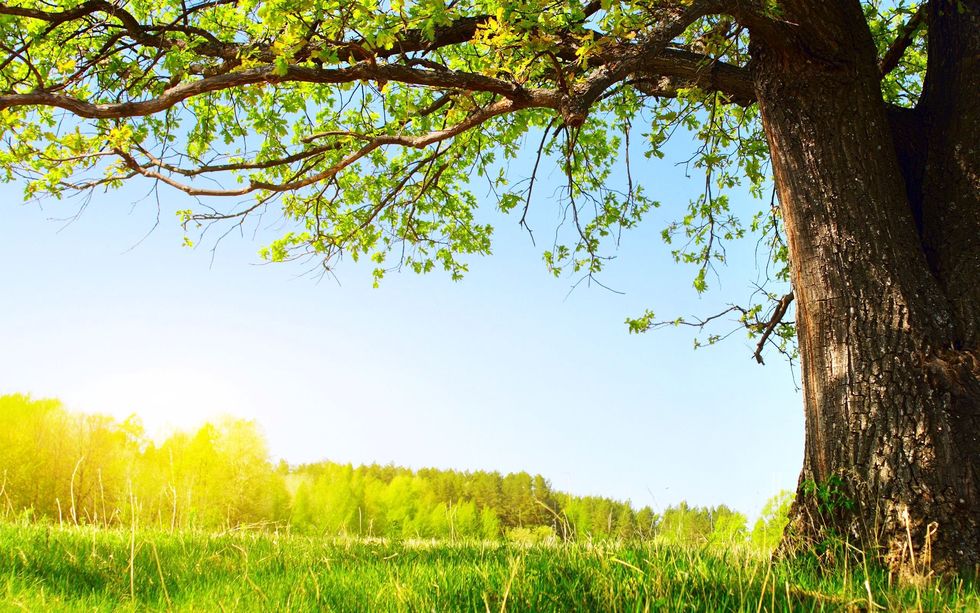 11 Ways to Have an awesome summer