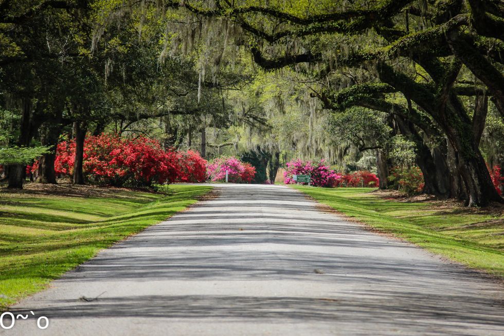 Offbeat Places To Visit Near Charleston This Summer