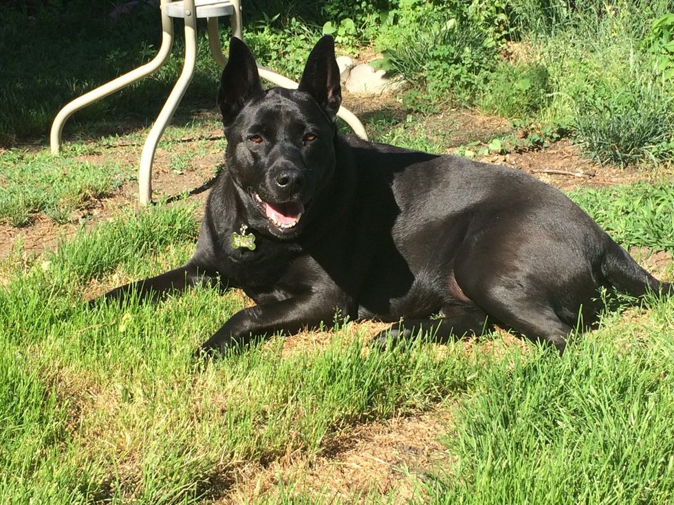 The 5 Stages of Losing Your Best Friend