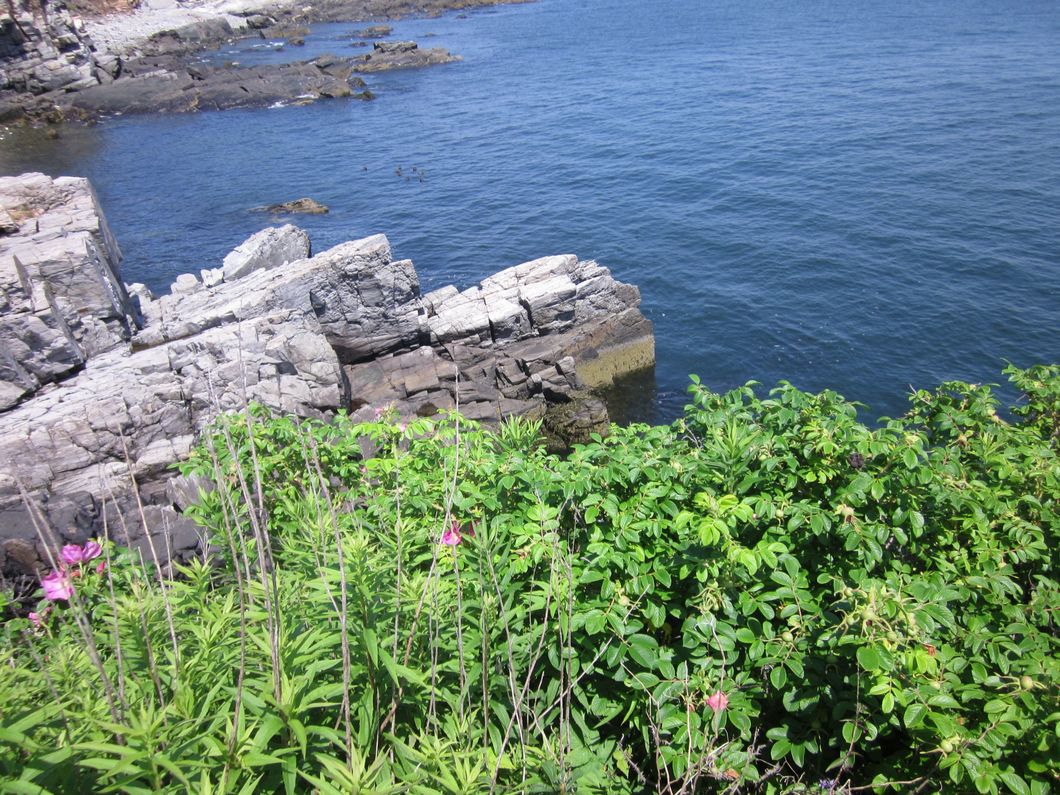 Starting Over Isn't Always Good For These 5 Reasons