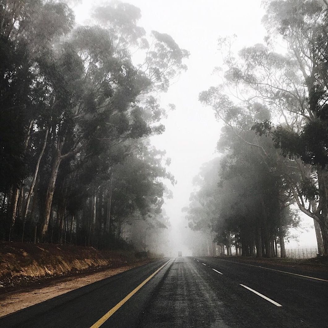 Fiction on Odyssey: Vivid 'The last of our kind'