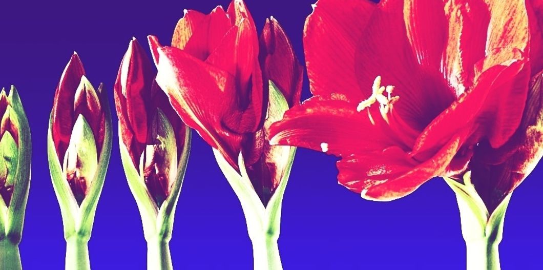 The Little Things I Grew Up Without are Finally Mine, And I couldn't Be Happier