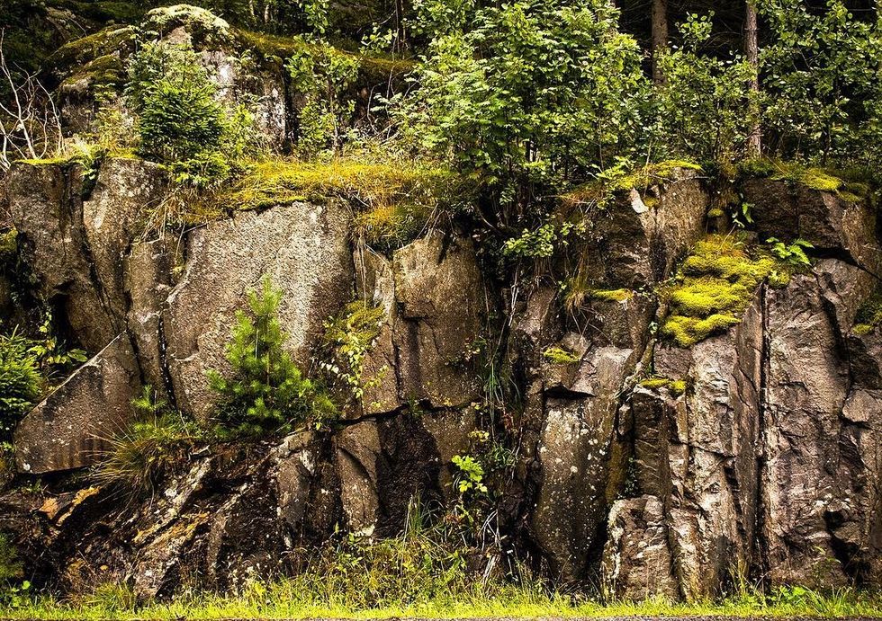 'I Don't Know' Is Sometimes The Smartest Thing You Can Say