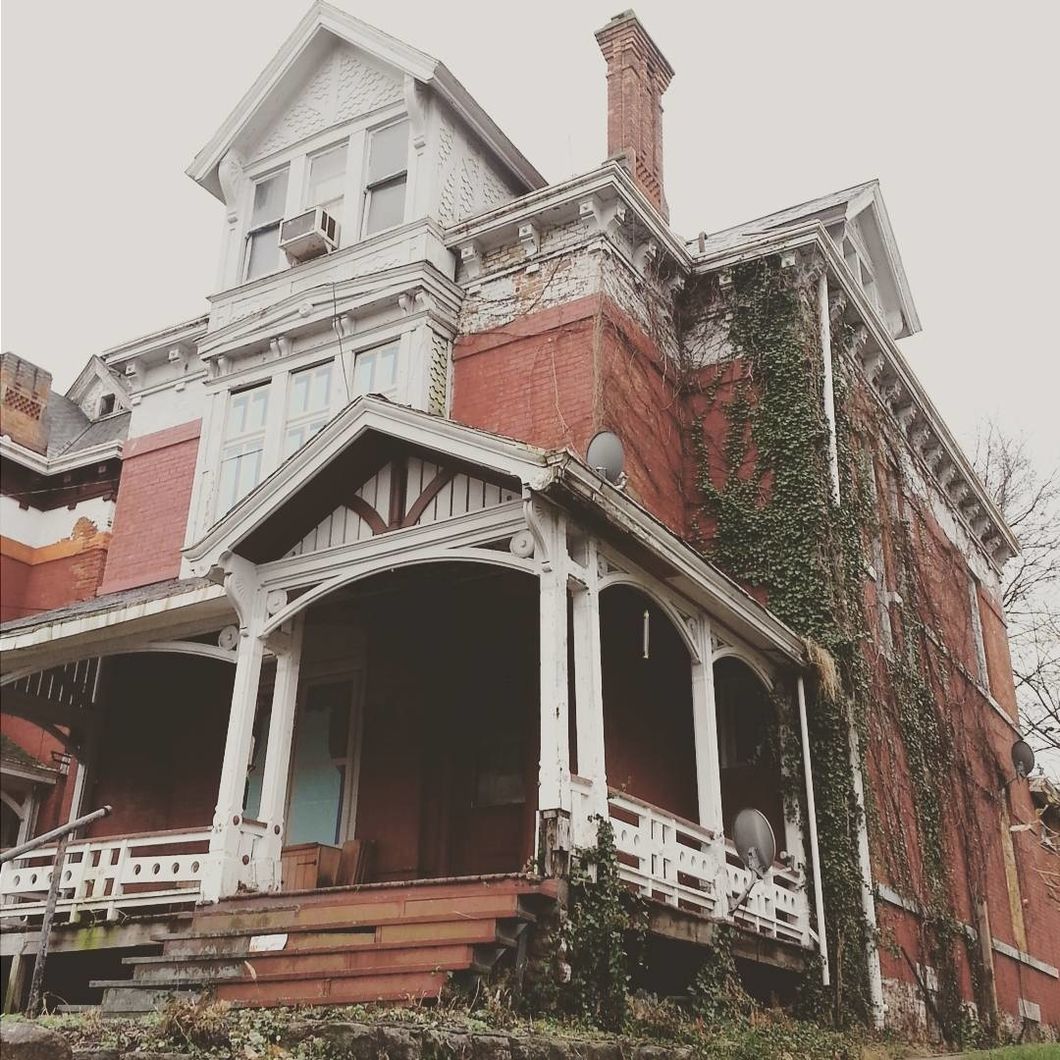 Fiction on Odyssey: Vivid 'The Last Of Our Kind'