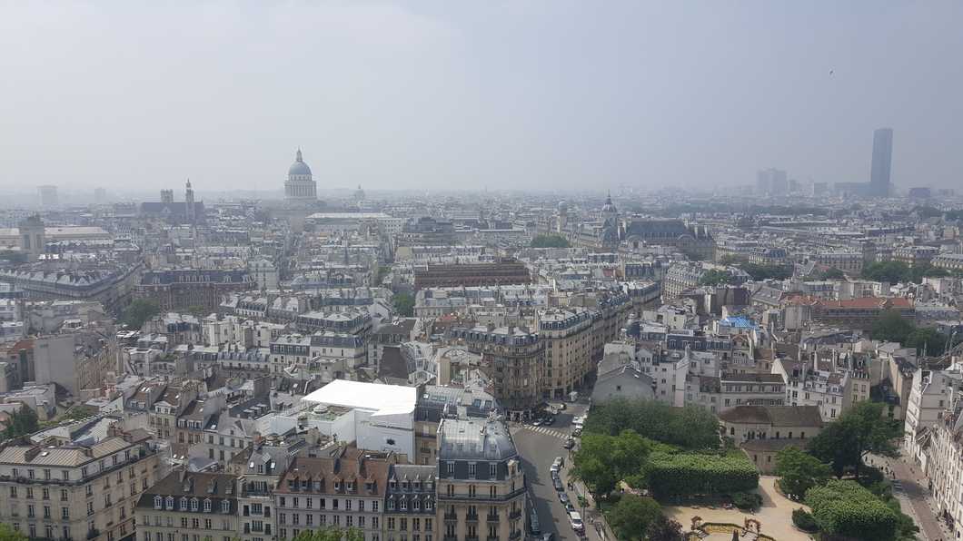 Emily Goes to Paris