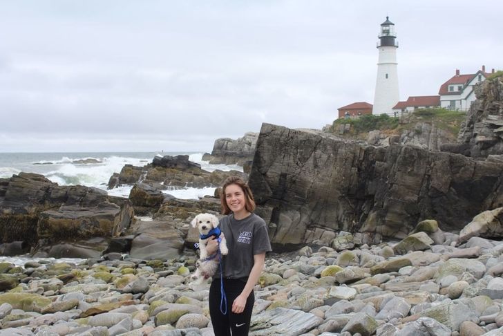 9 Things To Do in Portland, Maine With Your Dog And 1 Without