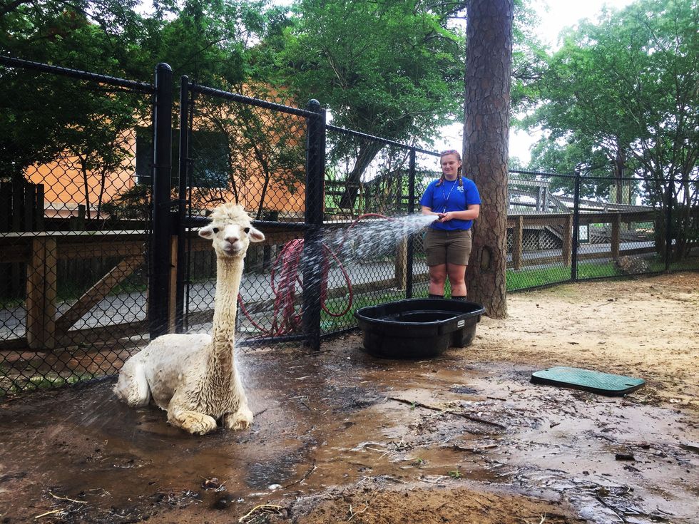 10 Totally Wild Things You Only Understand If You've Worked At A Zoo