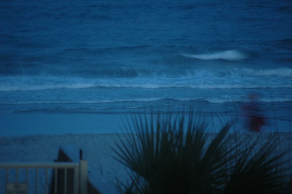 Is the Ocean Ours or The Sharks