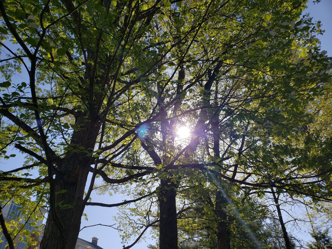 (6/21) The Love of God: We don't get it