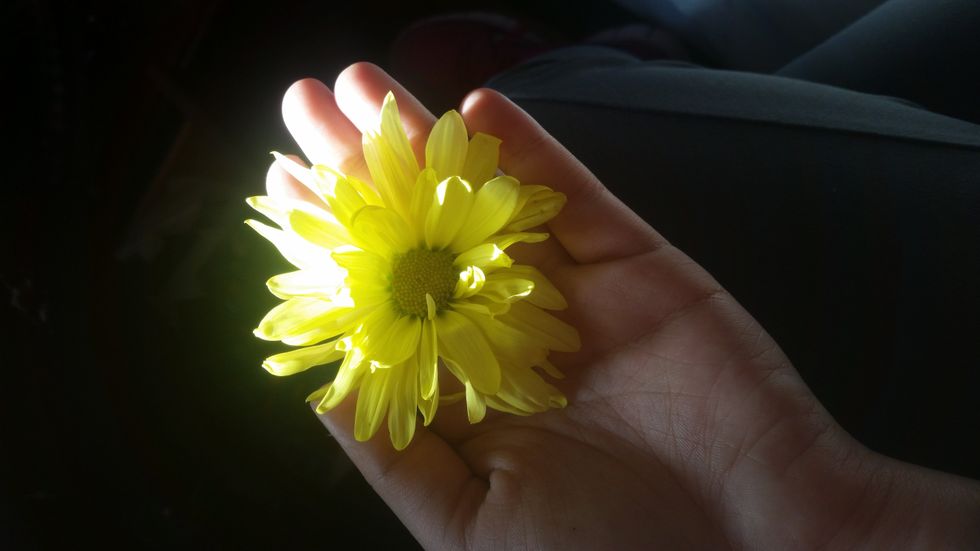 Poetry On Odyssey: The sun in my window