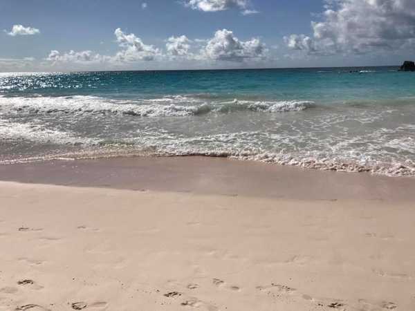 100 Windows-Down Type Of Songs To Make Up The Ultimate Summer Playlist