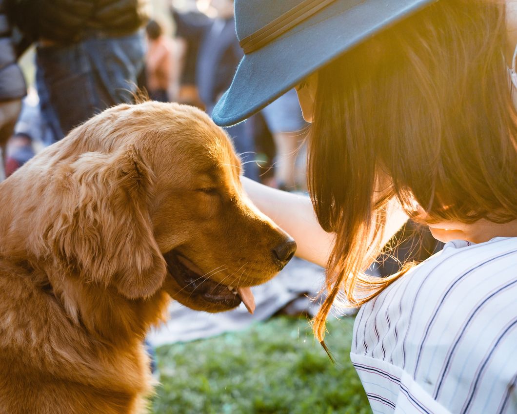 Dog Owners, Us Allergy Prone People Are Extremely Jealous Of You