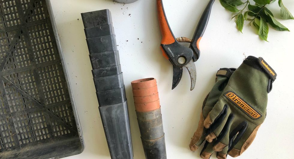 How To Take Care Of Garden Soil: Happy soil, Happy Garden