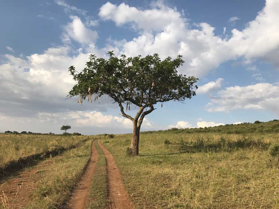 Four Reasons Why If You Can, You Should Travel