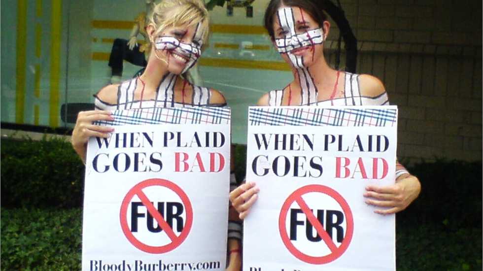 No Fur In Future Fashion