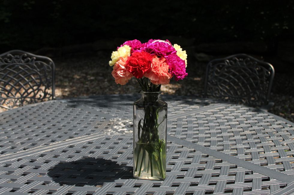 Even Through the summer heat, flowers are still looking beautifl