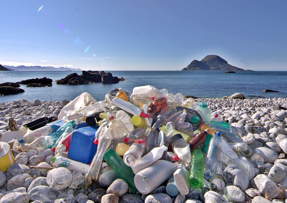 The Horrors Of Plastic And Why You Should Cut Back