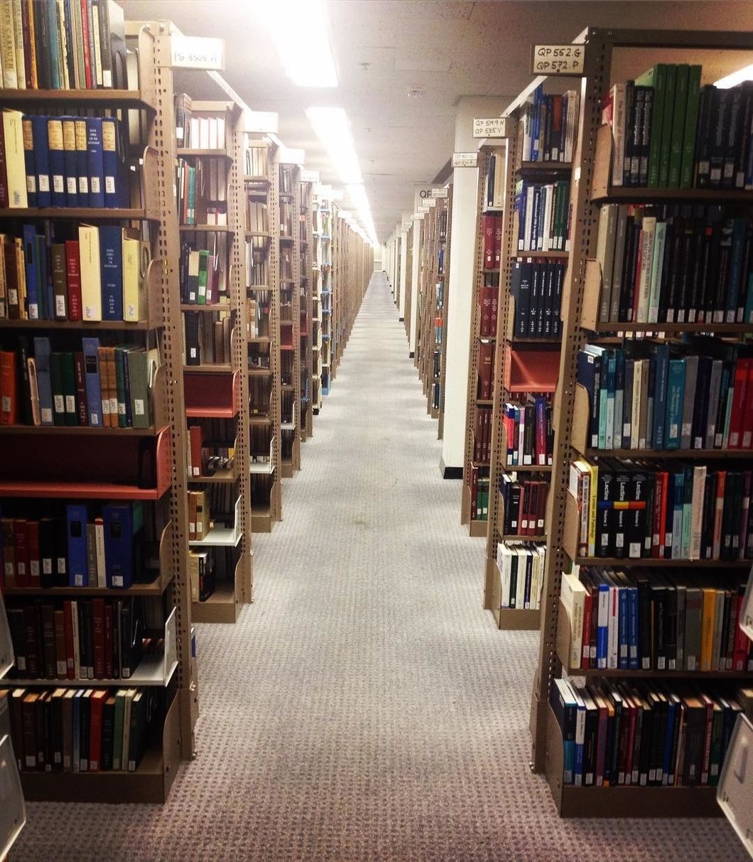 5 Perks of Working at Morris Library During the Summer