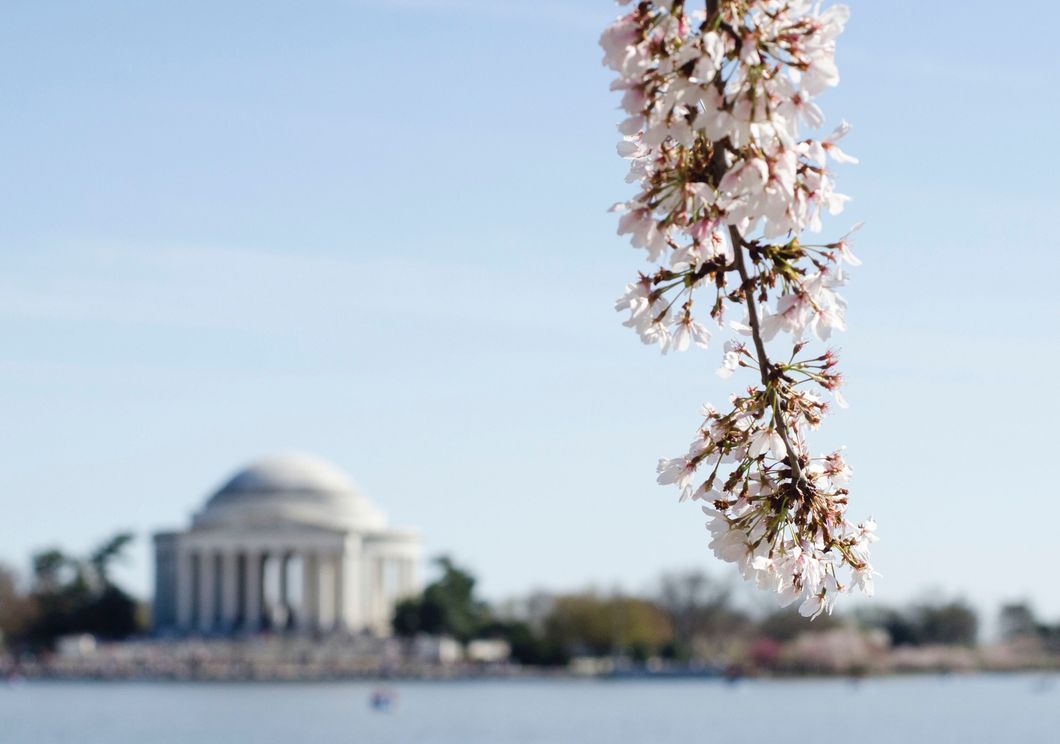 5 Ways To Have The Summer You deserve In The Nation's Capital
