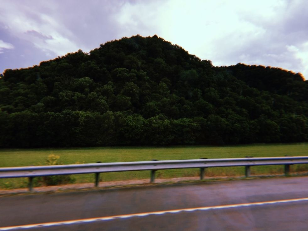 8 Reasons You Should Road Trip This Summer