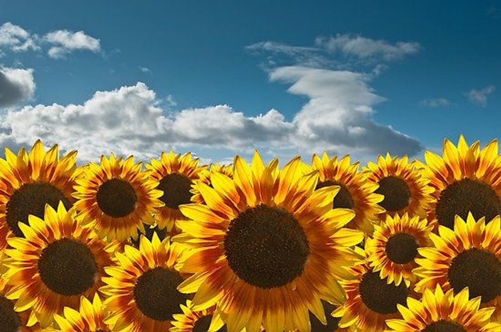 To the girl struggling to find her self-worth,