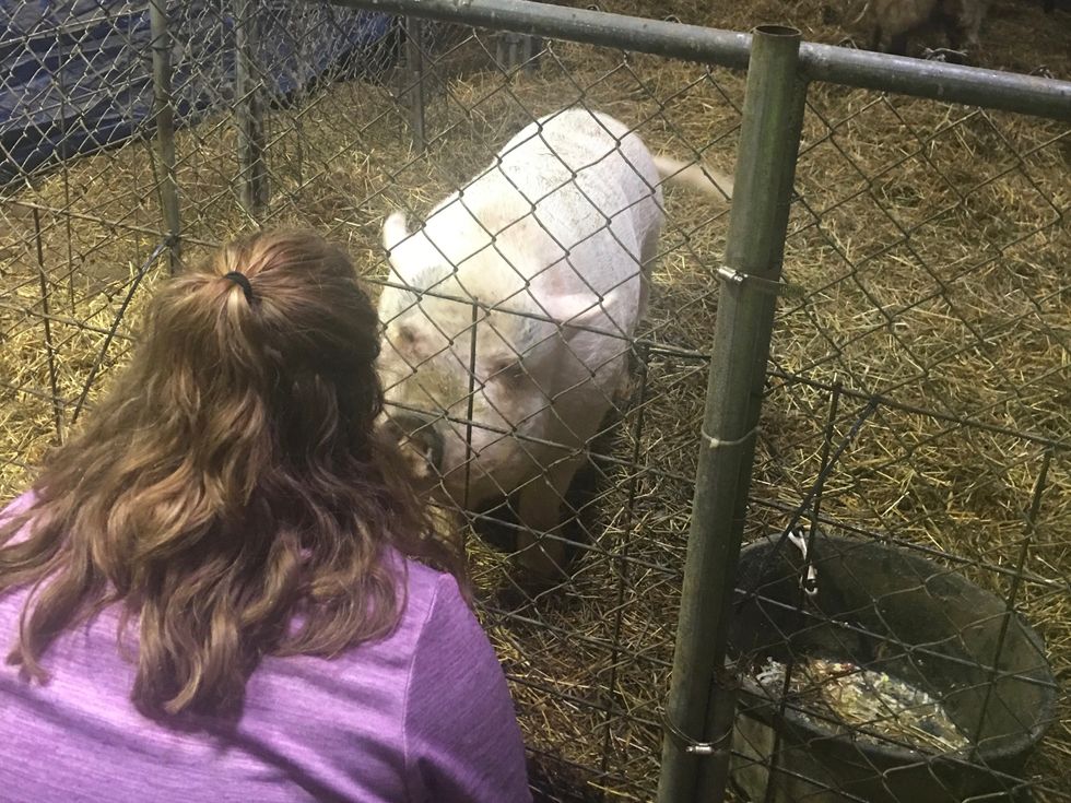 How My Passion For Animals Has Changed My Life