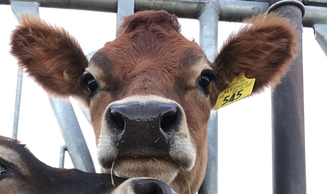 on The Outside Looking In