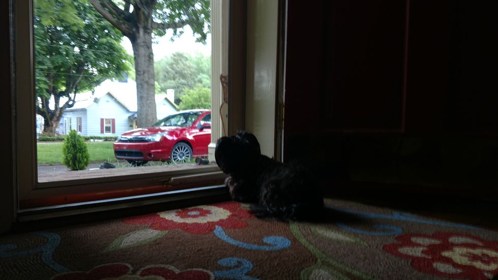 What I miss about North Carolina