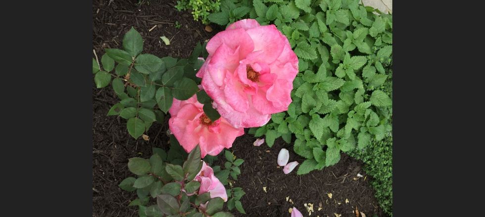 10 bible verses to get you through school