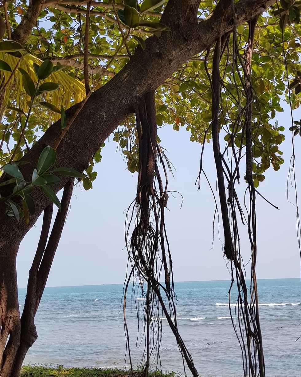 Becoming Comfortable With Silence