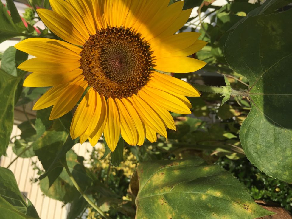 Love Is All You Need