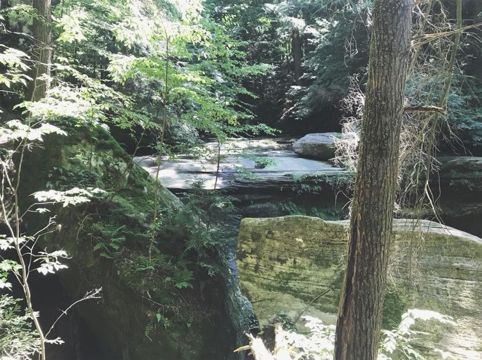 7 easy ways you can help our Environment and those living In it