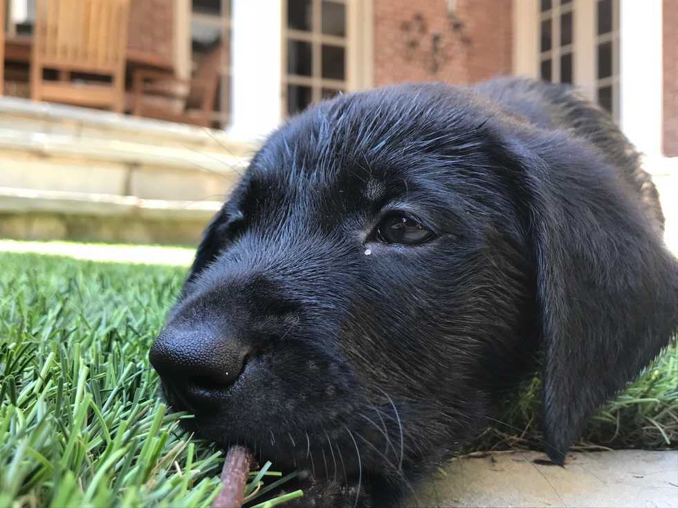 Welcome to the Family, Harry Bellman!