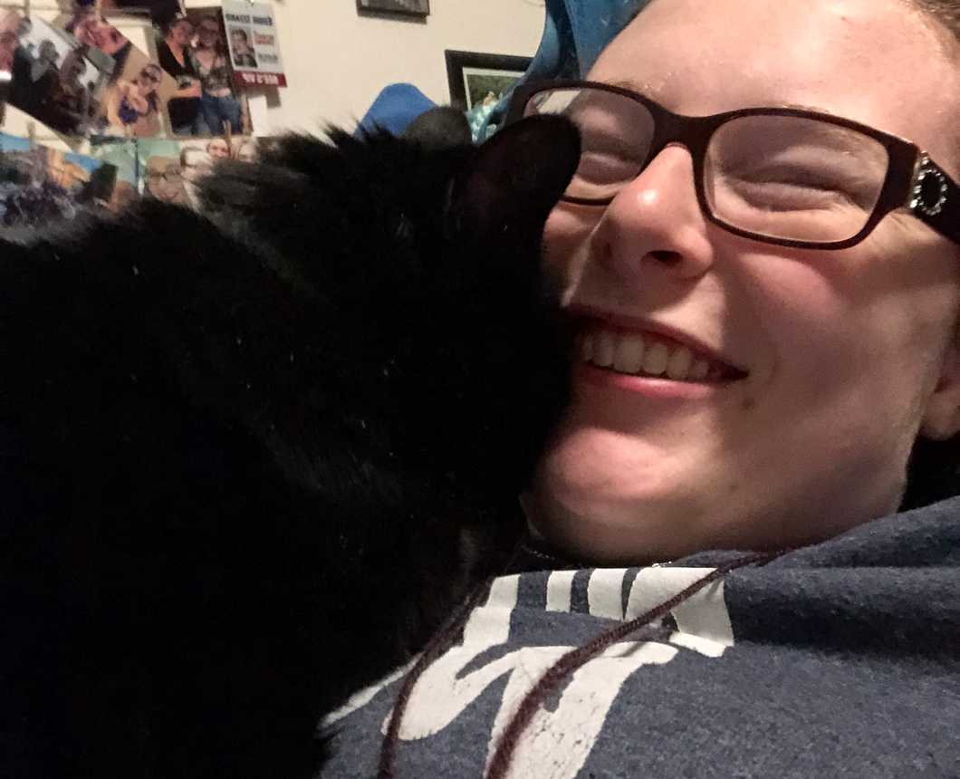 The Reality of Living With A Cat