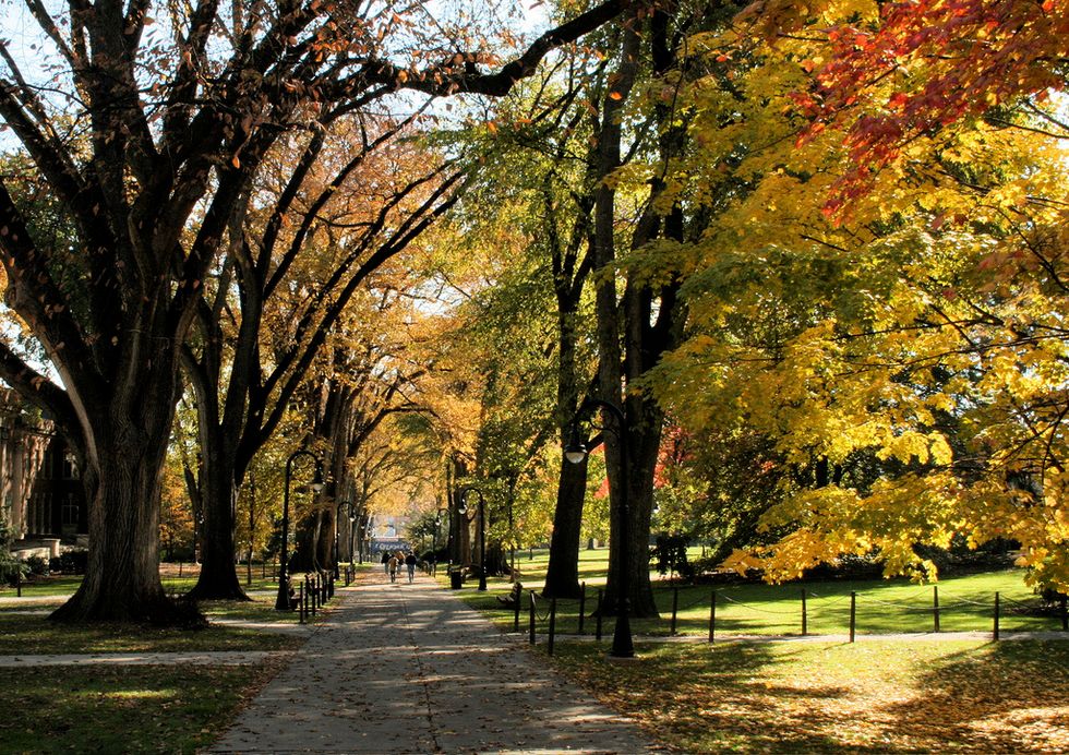 Learning To Adapt When Your Dream School Is No Longer An Option