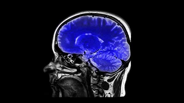 The Science Behind our bad choices