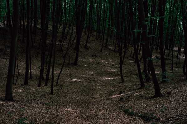 Boys No More: The Story Of Benjamin Eastman's Murder