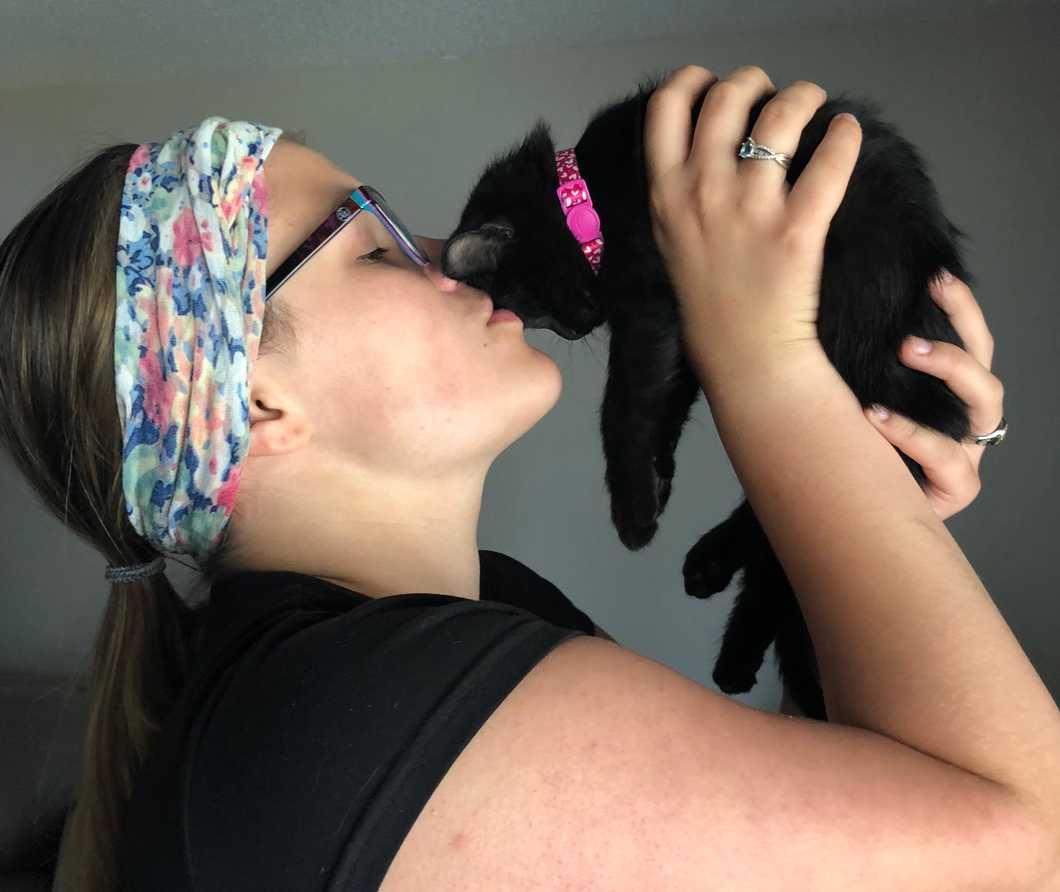 11 Adorable Kitten Things That Give All Cat-Owners Life (Pictures Included)