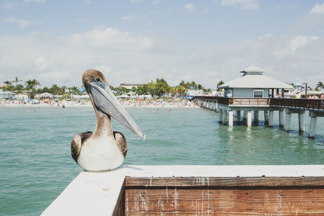 6 Under-Appreciated Places To Go In Florida This Summer