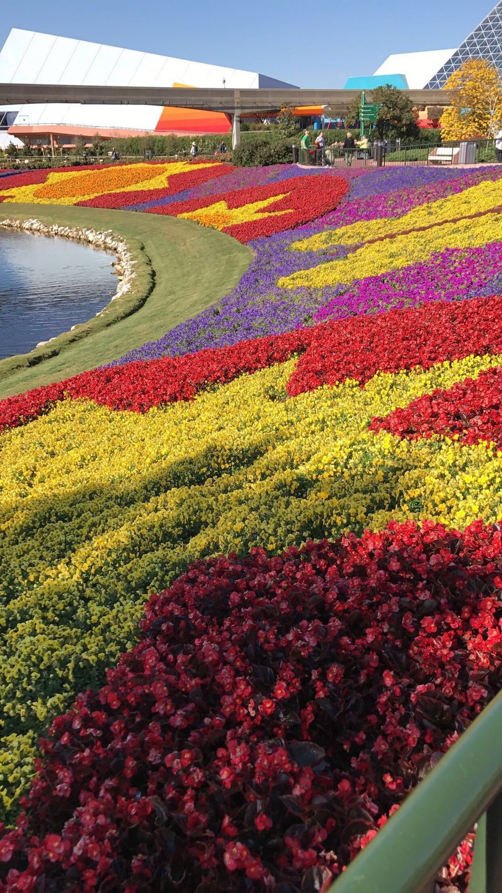 10 reasons I Will Forever Love my grandmothers